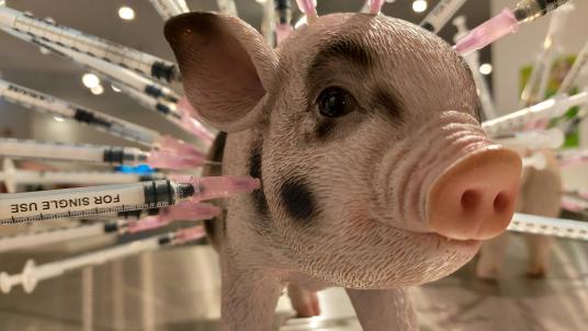 Exponat Antibiotika-Schwein im Disgusting Food Museum Berlin