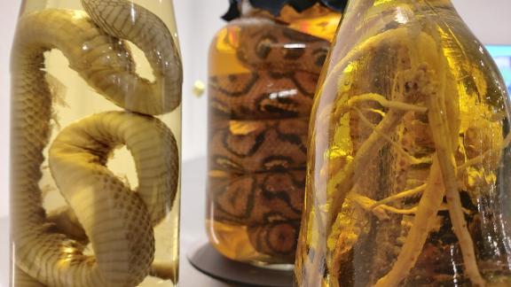 Disgusting Food Museum Berlin